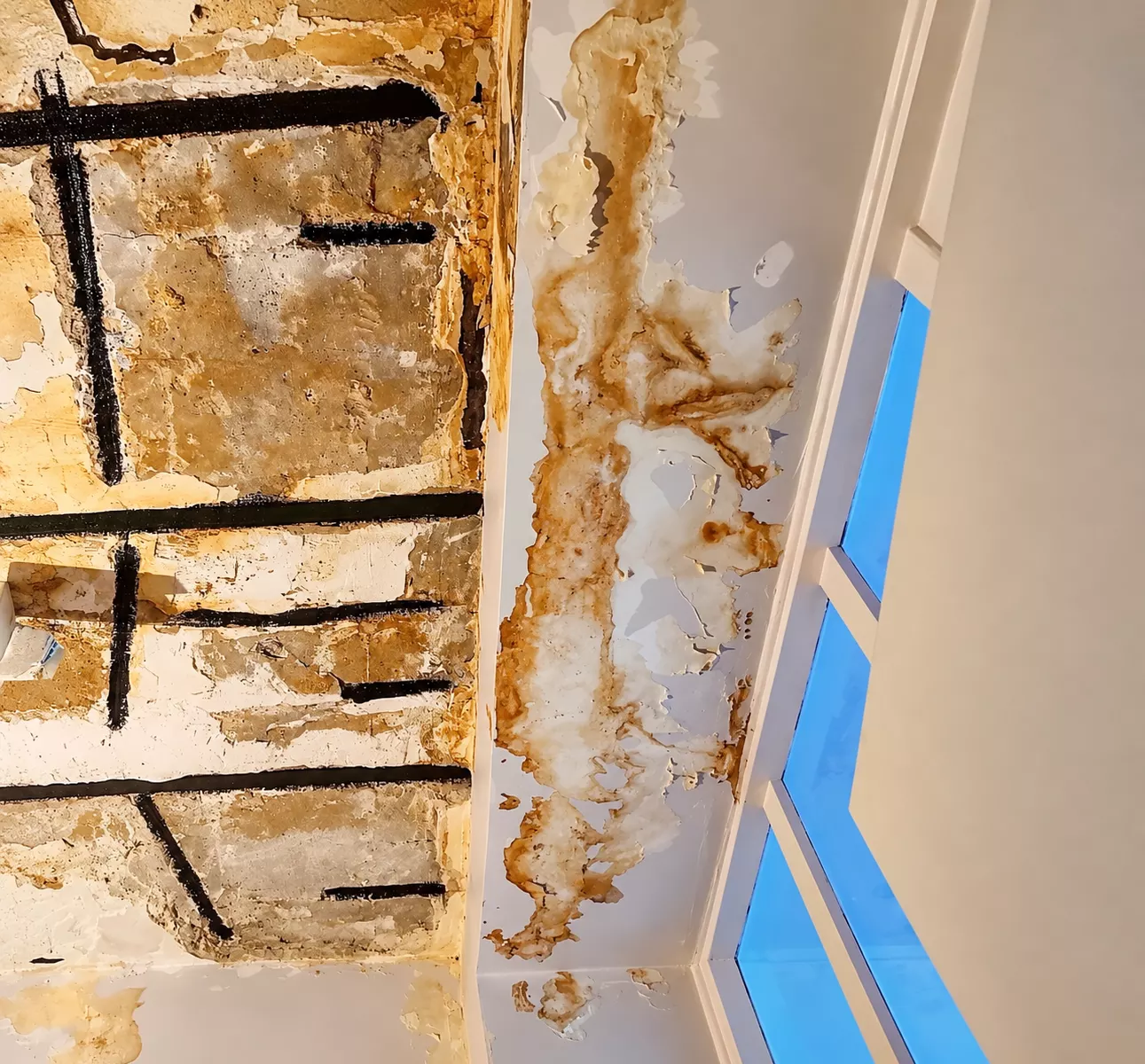 Plafond décollé par une infiltration, poutrelles métalliques et lattis apparents