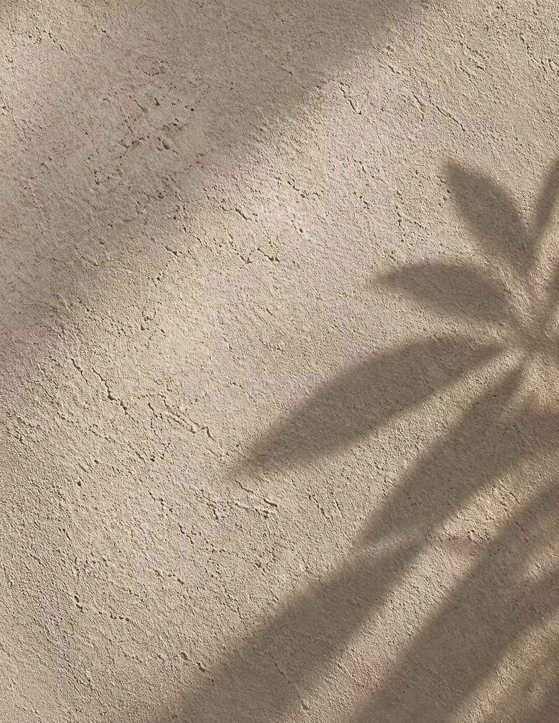 Surface d'un mur enduit, en lumière rasante